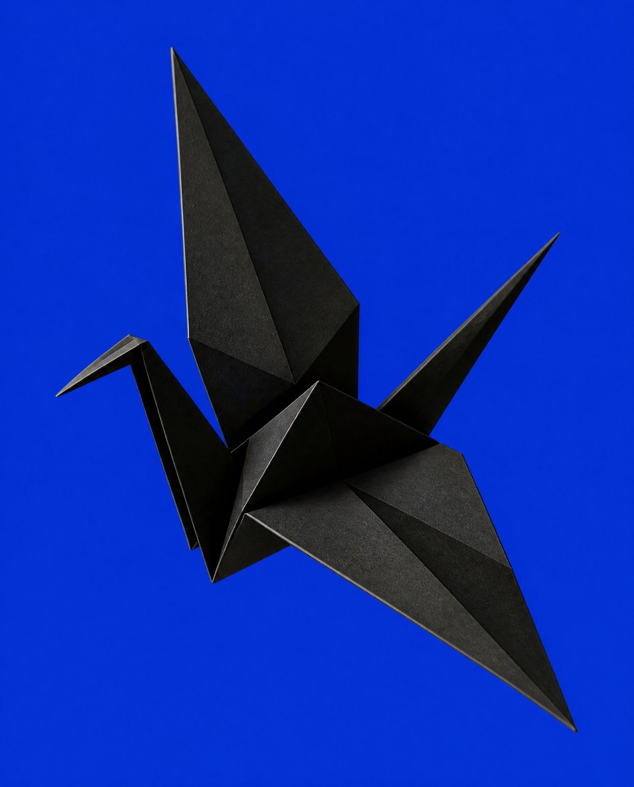 Black paper crane in mid-flight on Klein blue
