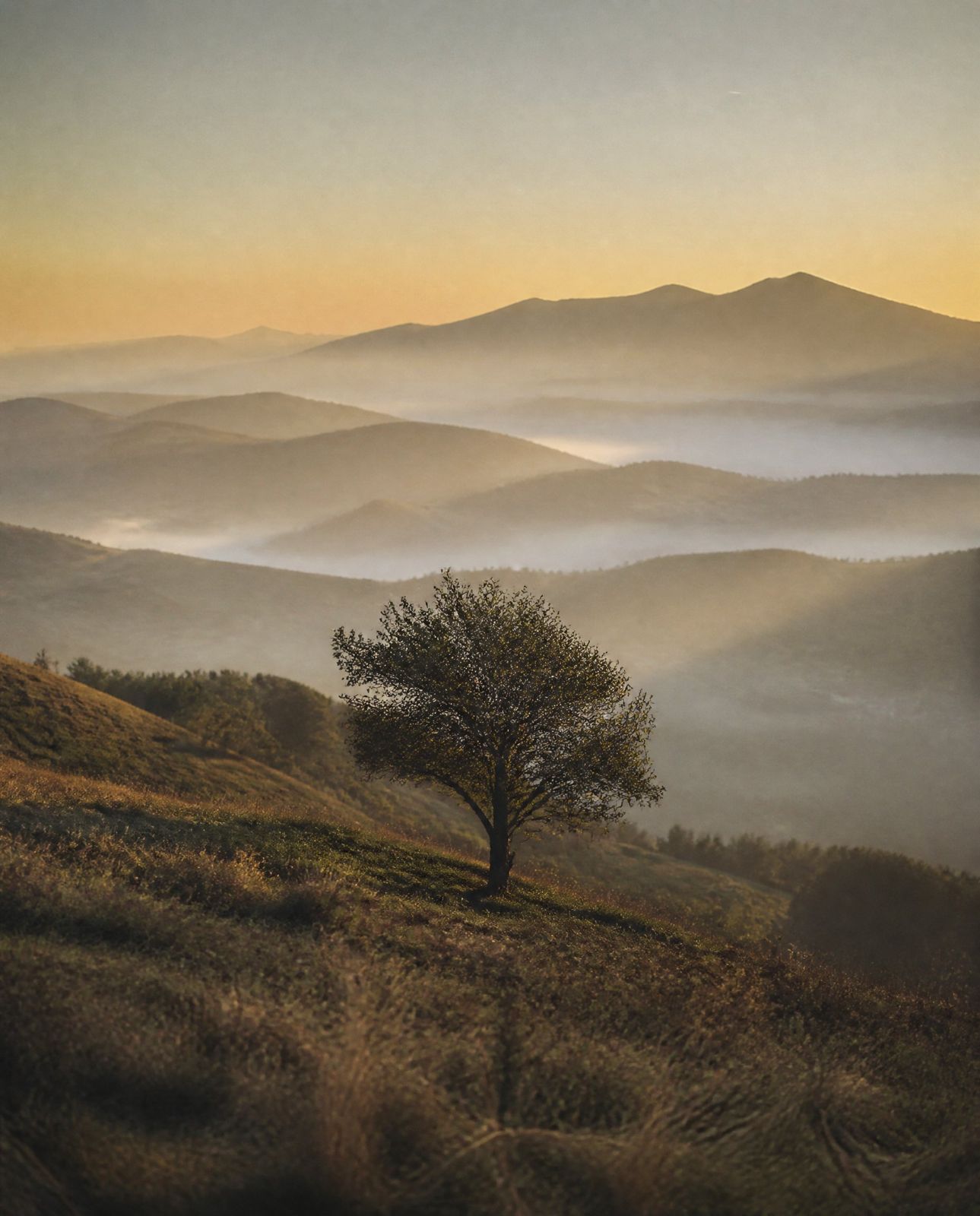 Valley at dawn