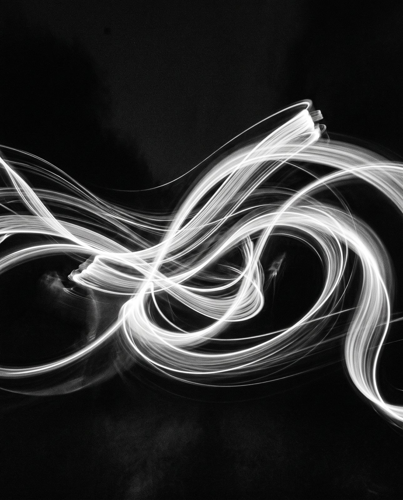 Signal Identity — light trails in motion